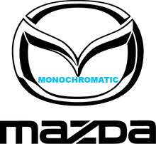 Load image into Gallery viewer, NEW COURTESY SHUTTLE GRAPHICS